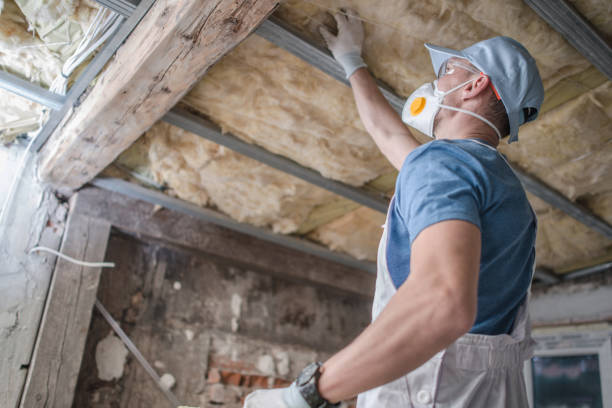 Best Residential Insulation in Lindon, UT
