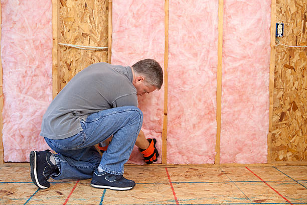 Best Commercial Insulation in Lindon, UT